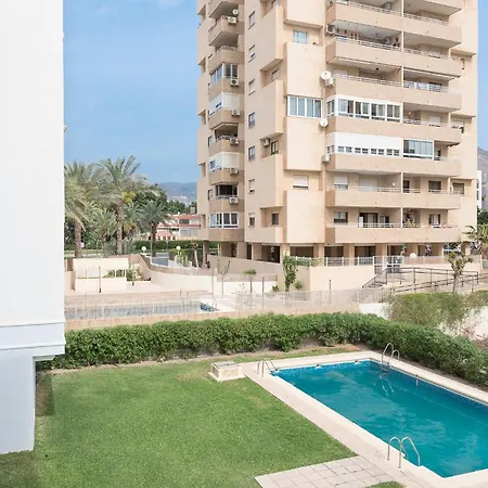 Palmeral Playa Aguadulce (Almeria)